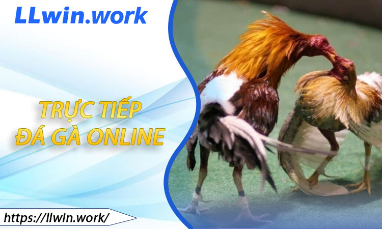 Trực Tiếp Đá Gà Online